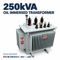Transformateur de distribution triphasé immergé dans l'huile, puissance nominale 250 KVA, 10/10,5/11 kV vers 400 V, 50/60 Hz, ONAN, cuivre/aluminium, personnalisable
