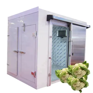 Precio de la cámara frigorífica de la promoción de límite de tiempo cámara frigorífica de carne congelada para fábrica de pescado y carne y pollo