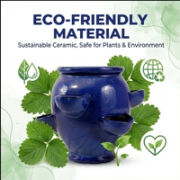 Pot en terre cuite émaillée pour fraises avec trou de drainage pour jardin d'intérieur/extérieur