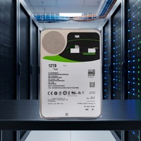 ST12000NM0027 12TB SAS 12Gb/s 7200 RPM 256MB 512e 3.5 inci X12 Hard Disk Drive Server Enterprise