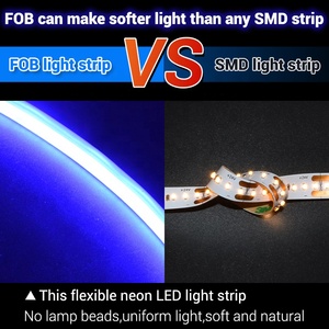 Phổ biến nhất Epistar LED Strip ánh sáng ngoài trời không thấm nước tùy biến COB dải ánh sáng ngoài trời chiếu sáng cảnh quan nhà máy - Product Image 5