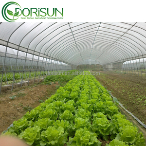 Venta al por mayor Best Seller <span class=keywords><strong>verduras</strong></span> cultivo aro casa verde Túnel de un solo tramo invernadero de plástico con fresa - Product Image 5