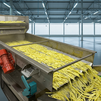 Industriële 100-5000kg/uur volautomatische productielijn voor frites, fabriekslevering, aantrekkelijke prijs, voedselverwerking