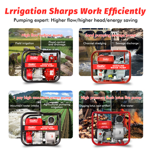 <span class=keywords><strong>Pompe</strong></span> à eau à piston à <span class=keywords><strong>essence</strong></span> 7,5 CV 212 CC haute pression pour l'irrigation agricole en ferme au Brésil - Product Image 2