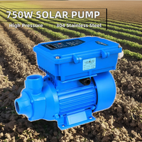 Pompe de Puits Solaire CC Haute Pression 750W pour Surface – Vente en Gros, Pompes Solaires d'Irrigation pour Eaux de Surface