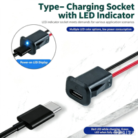 LN-010 Prise de charge USB-C à 2 fils, connecteur femelle DC avec lumière LED, rouge pendant la charge, vert lorsqu'il est entièrement chargé