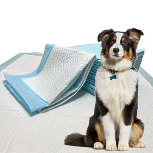 Chinese Supplier Pet Toilet Training Pads Dogs And Cats Disposable Pee Pads Puppy Care Pads