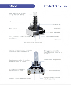 BAM <span class=keywords><strong>5</strong></span> Veterinär instrument Kleine Tier-und Tier anästhesie Beatmung gerät Veterinär Tierklinik Anästhesie <span class=keywords><strong>system</strong></span> Tragbare Maschine - Product Image 5