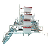 Offre Spéciale : Cage à poules pondeuses à 3 niveaux de type A avec escalier multi-niveaux pour la ponte des œufs – Équipement pour cages à poules pondeuses