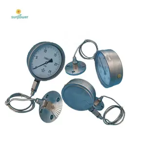 Cooking gas regulator with meter for homes