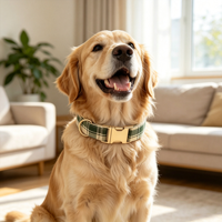 Kariertes Hundehalsband & Leinen-Set mit Kotbeutelhalter, Verstellbares Hundespazier-Set für Alle Hunderassen, Individuelles Design Verfügbar