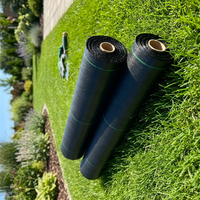 Toile de paillage durable en tissu tissé perméable pour projets de jardinage commercial 70 g/m²