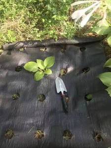 Malla de Protección para Árboles, Malla Agrícola de Plástico, Malla de Control de Malezas, Tela Barrera contra Malezas, Malla Negra para Control de Malezas - Product Image 3