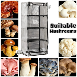 <span class=keywords><strong>Mini</strong></span>-<span class=keywords><strong>serre</strong></span> portable en métal pour culture de champignons en intérieur, facilement assemblable, pour le contrôle de l'humidité et la ventilation - Product Image 6