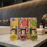 Diffuseurs de parfum pour la maison et le bureau, diffuseurs à bâtonnets aux fruits séchés, différentes options de senteurs, diffuseur d'aromathérapie liquide, coffret cadeau