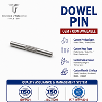 Tige de centrage droite moletée en acier inoxydable TianFang 3,2 x 28 mm, fixateur de positionnement poli pour assemblages d'équipements industriels