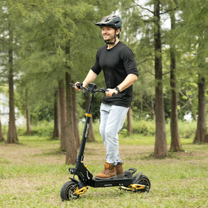 Dual 250w 48v 20.8ah 10-inch 60km Es1 <b>Foldable</b> Scooter With Ft & Rear Disc Brakes Ie-es1 Ie - Product Image 6