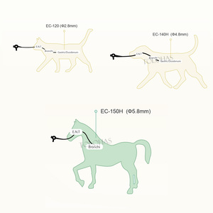 Sistema <span class=keywords><strong>de</strong></span> <span class=keywords><strong>Gastroscopia</strong></span> Veterinaria Multifuncional LHWTK12, Endoscopio Portátil <span class=keywords><strong>de</strong></span> 1500 mm para Caballos, para Uso en Granjas - Product Image 3