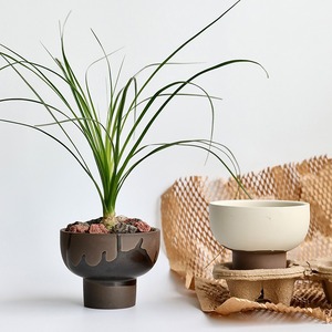 Maceta Pequeña de Terracota con Base MSH, Maceta Pequeña para Plantas de Oficina, Musgo, Bonsái y Hoya - Product Image 1