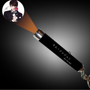 Palo de Juguete Luminoso LED para Mascotas, Reutilizable, de Metal, con Proyección Infrarroja, Llavero para Perros y Gatos - Product Image 2