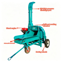 HONGHAO Nouveau Produit Machine à Malaxer l'Herbe 800kg/h, Machine à Hacher la Fourrage