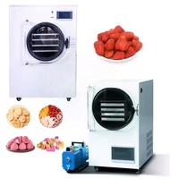 Déshydrateur alimentaire automatique par lyophilisation pour la transformation des aliments, fruits et légumes, certifié CE, usage domestique