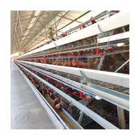 Système de cages à volaille automatique de type A bon marché pour l'élevage de poules pondeuses en métal et en acier pour poules pondeuses dans des poulaillers