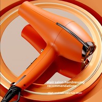 Sèche-cheveux professionnel domestique à température constante 2000W haute puissance, 3 vitesses, buse à jet unique, ions négatifs, protection contre la surchauffe