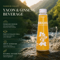 Yacon Gember Ginseng Gemengde Sap Gezonde Dagelijkse Ochtenddrank Zoet en Sappig Clean Label 280ml Karton Verpakking
