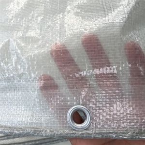 Rõ Ràng <span class=keywords><strong>PE</strong></span> Leno Lưới Tarpaulin Trong Suốt Nhà Kính Lều Tấm Nhựa Chống Cháy <span class=keywords><strong>PE</strong></span> Lưới Vải Lưới Leno Tarpaulin - Product Image 4