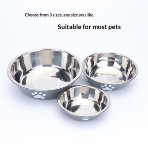 Tigelas Elevadas e Inclinadas em Aço Inoxidável com Suporte, Alimentador Antivómito para Gatos e Cães - Product Image 2