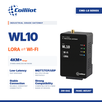 Passerelle LORA vers Wi-Fi pour appareils IoT, module sans fil bidirectionnel haute vitesse, montage sur rail DIN, Coiliiot WL10