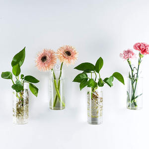 Hand geblasenes Wandbehang rundes Glasrohr Vase Pflanzer Pflanzen <span class=keywords><strong>terrarium</strong></span> für Haupt dekoration - Product Image 3