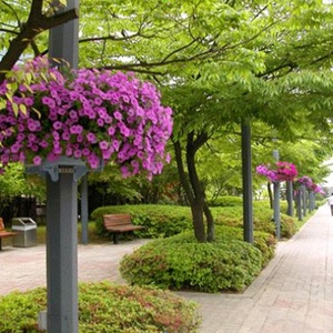Jardinière verticale hydroponique en plastique de qualité supérieure, pot de fleurs décoratif en plastique, lampadaire de jardin - Product Image 1
