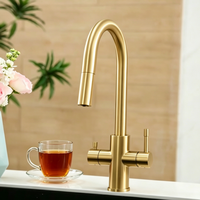 Nouveau modèle de robinet d'eau en acier inoxydable 3-en-1 avec eau bouillante instantanée