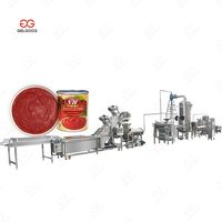 Ligne de transformation de purée de tomates GELGOOG semi-automatique, 2 tonnes par heure, équipement de production de légumes