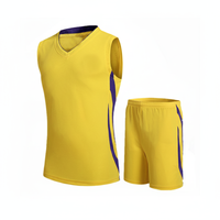 Uniforme de basket-ball personnalisable de qualité supérieure avec chaussures courtes en vente pour les joueurs modèle EVI 2001 fabriqué en PK