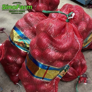 Oignons jaunes rouges frais de Chine en gros, Sinofarm, légumes verts, aliments, graines d'échalote violette, graines d'oignon jaune non pelé, 8 cm - Product Image 3