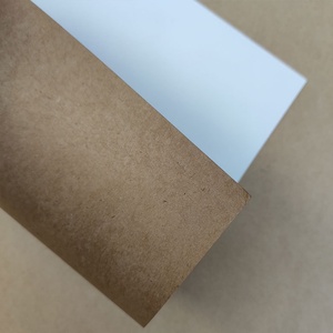 Cartón de Prueba Blanco WTL para Impresión de Cajas Corrugadas - Product Image 6