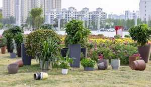 Ciotola semplice fatta a mano 30cm sospensione a parete rotonda Macetero vasi di plastica appesi fioriera a buon mercato - Product Image 6