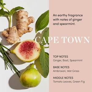 เซรั่มบำรุงหนังศีรษะสูตรออร์แกนิค ลดรังแค ปรับสมดุลเส้นผม สารสกัดจากโคลเวอร์แดง สารสกัดจากโสมไซบีเรีย เปปไทด์ ช่วยให้หนังศีรษะดูหนาขึ้น ดูอิ่มฟูขึ้น - Product Image 3