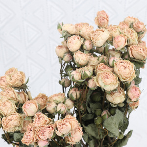 Usine de couleur riche grande vente vrais Bouquets de fleurs de Rose sèche naturelle avec <span class=keywords><strong>tige</strong></span> pour la décoration intérieure de Restaurant de bureau à domicile - Product Image 2