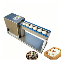 Machine à peler les œufs de caille électrique automatique pour usage domestique, mini décortiqueuse d'œufs de caille, petite décortiqueuse d'œufs d'oiseaux, en promotion