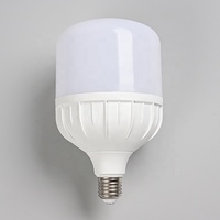 Ampoule LED Standard avec Garantie de 2 Ans, Utilisation Intérieure, 5W 10W 15W 20W 30W 40W 50W, Culots E27 B22
