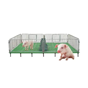 Cajón de parto de cerdos galvanizado caliente de la mejor venta para jaula de equipo de granja de cerdos