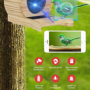 Nichoir en bois pour jardin Cage en bois de pin avec trous de visualisation et fermeture à bouton de plate-forme debout pour cour - Product Image 4