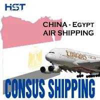 Più basso di trasporto Aereo di Merci Servizio di Trasporto Dalla Cina A Egitto CAIRO CAI