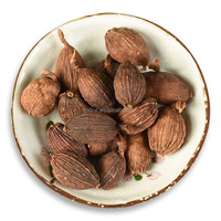 Irisan Kulit Jeruk Pahit Kering yang Belum Matang, Kulit Jeruk Keprok Kering, Buah Citrus Aurantium yang Telah Diawetkan, Kumquat Kering, Bumbu Pengasapan Daging, Rempah-rempah