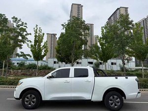 Camioneta Usada Great Wall Pao 2023, 2.0T Diésel, Automática, 4x4, Volante a la Izquierda, para Exportación |   Suministro al por Mayor de Camionetas Usadas en China - Product Image 3