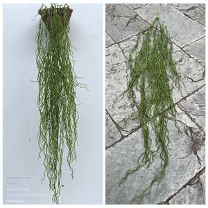 Plantas Artificiales de Plástico Verde, Bambú Colgante, Hierba Dragón, Flor del Bosque, Vegetación Artificial al por Mayor - Product Image 6